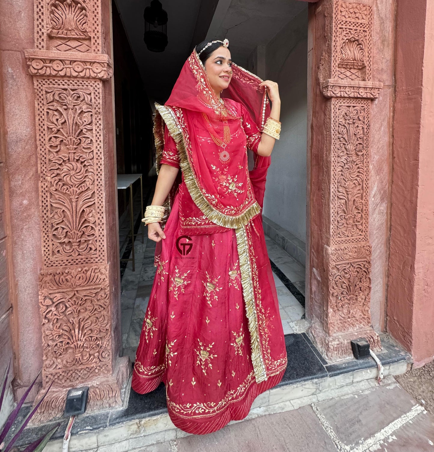 Elegant Partywear Rajasthani poshak
