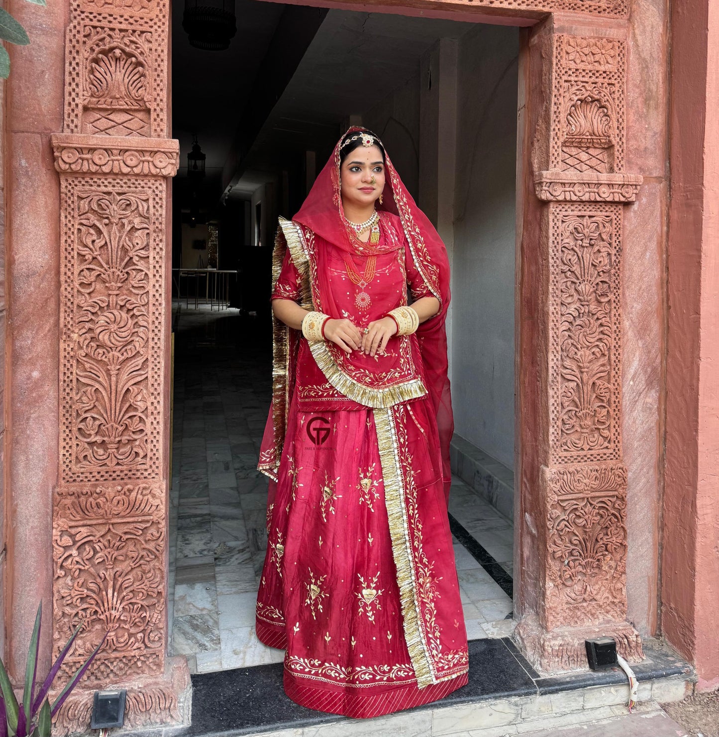 Elegant Partywear Rajasthani poshak