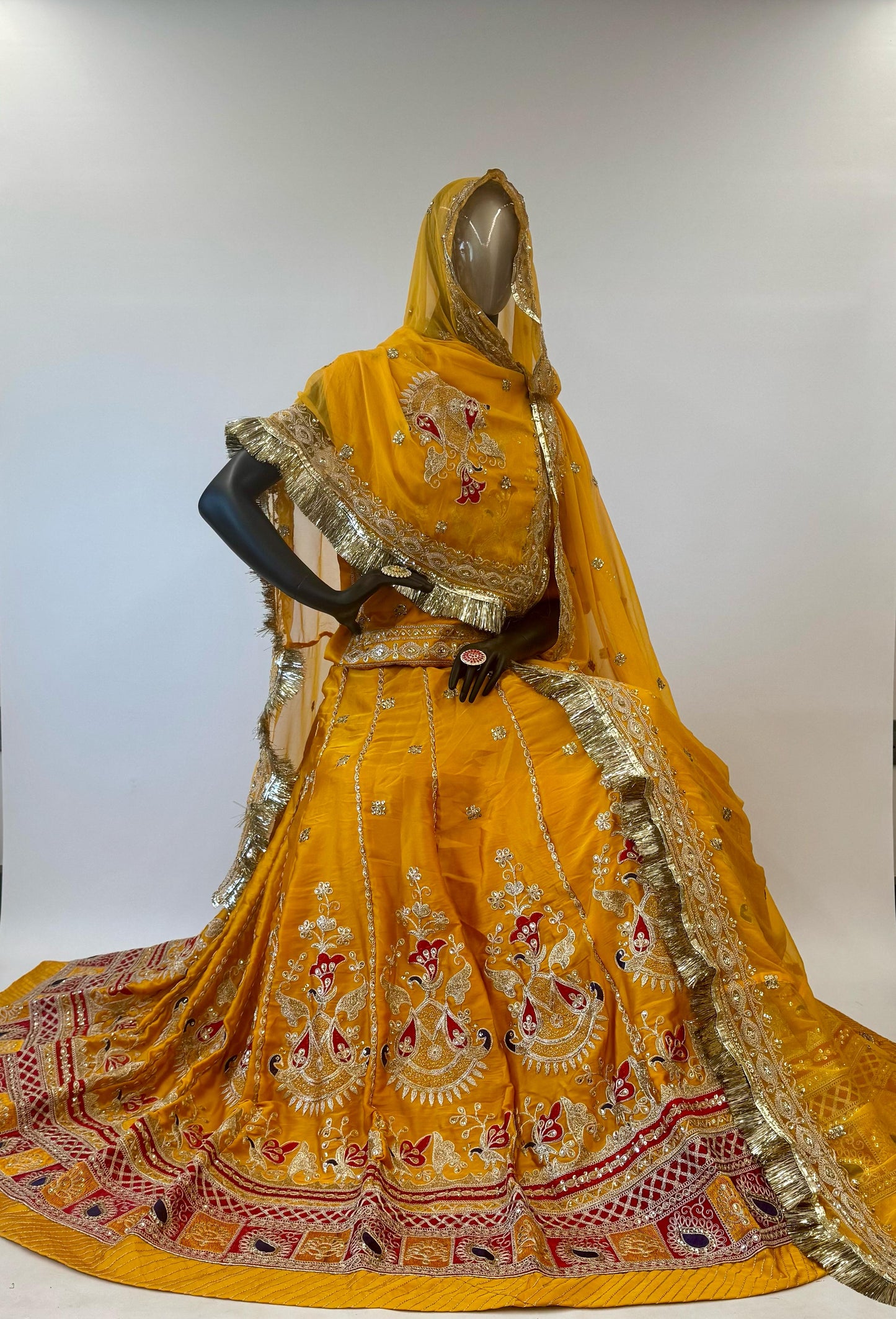 Elegant Partywear Rajasthani poshak