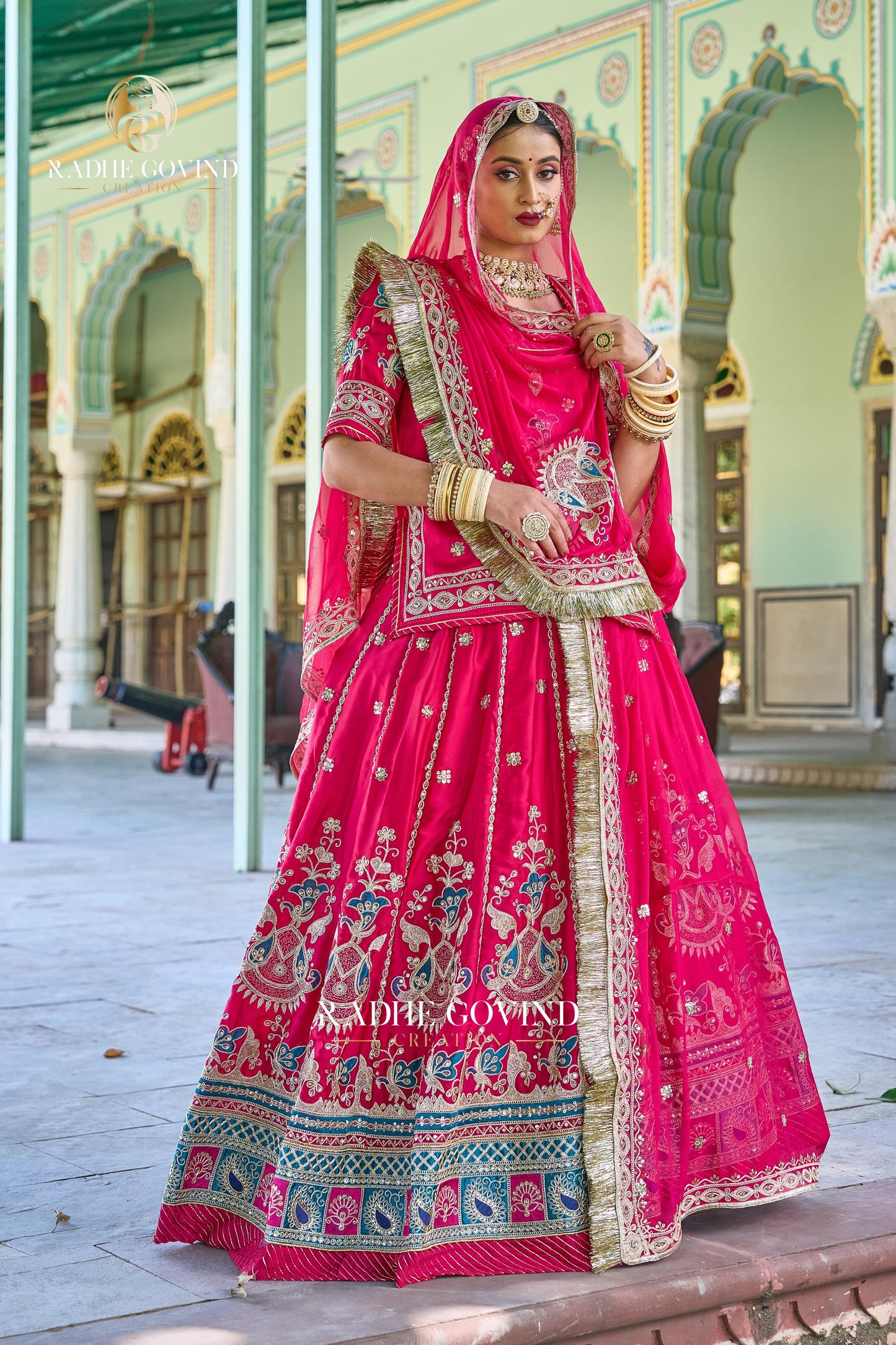 Elegant Partywear Rajasthani poshak