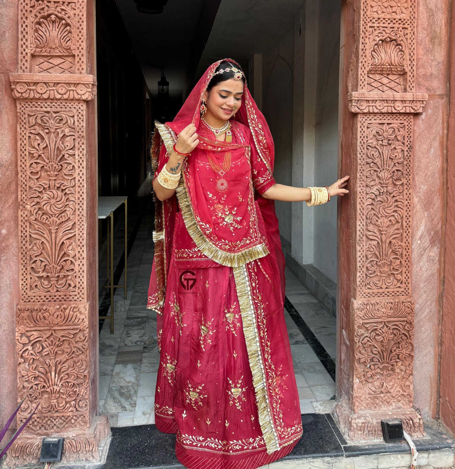 Elegant Partywear Rajasthani poshak