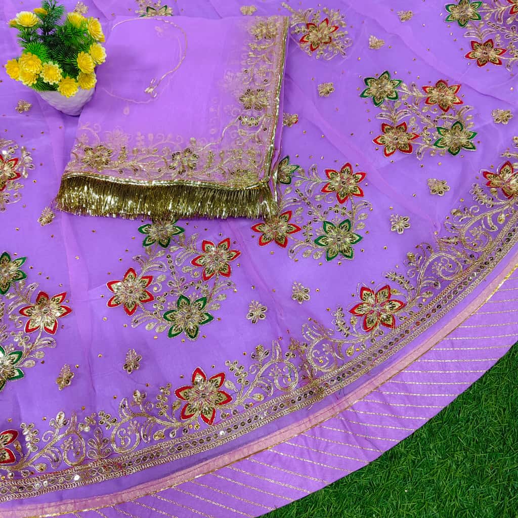 Royal Half Pure Poshak – Elegant Partywear Outfit for Festive Celebrations